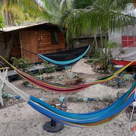 Sustainable Cabain Lägenhet Cozumel Exteriör bild