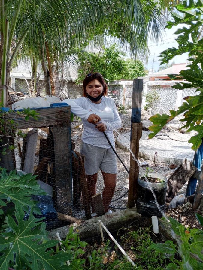 Sustainable Cabain Lägenhet Cozumel Exteriör bild