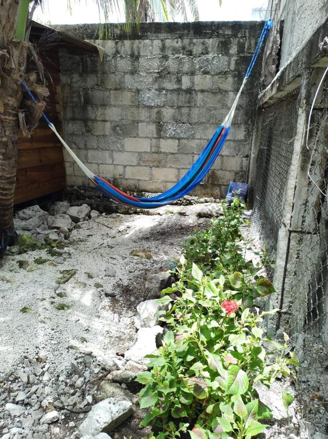 Sustainable Cabain Lägenhet Cozumel Exteriör bild