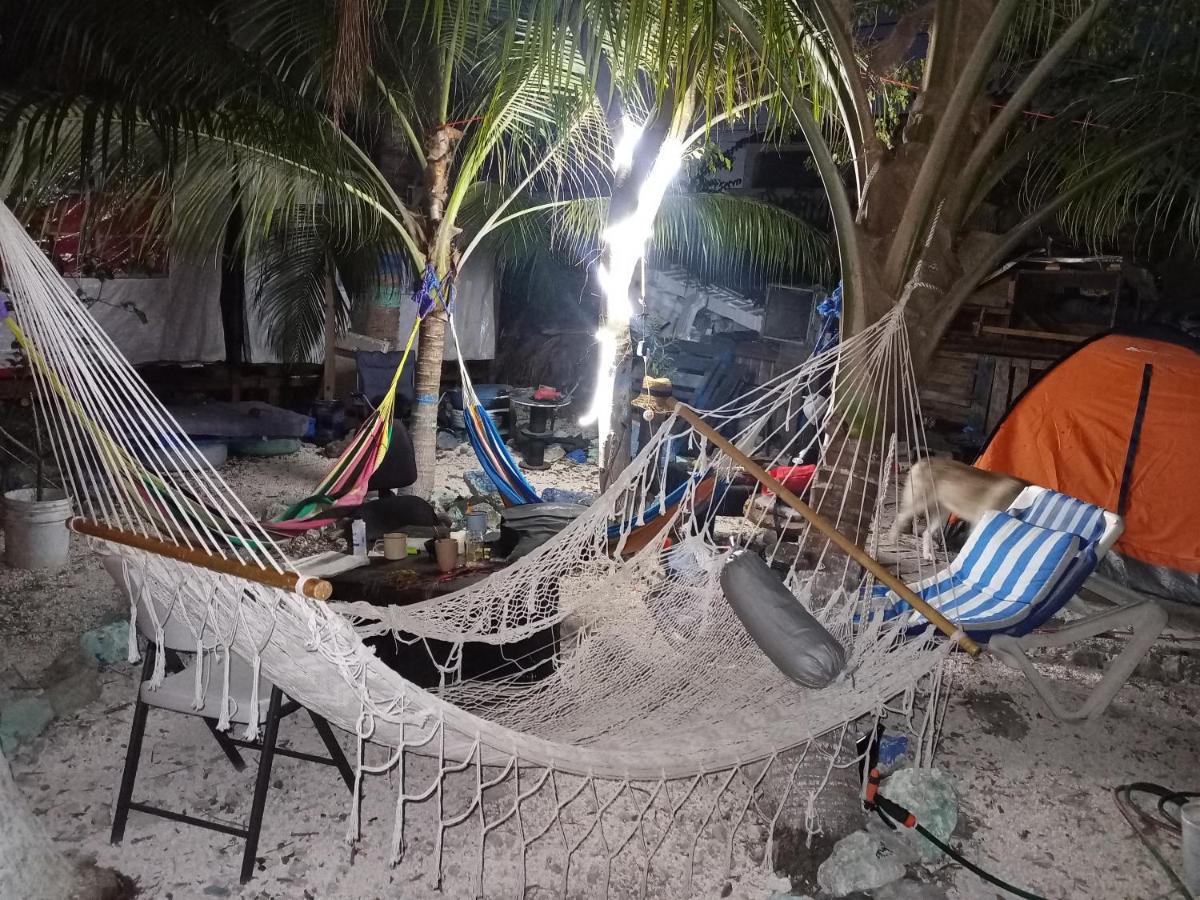 Sustainable Cabain Lägenhet Cozumel Exteriör bild