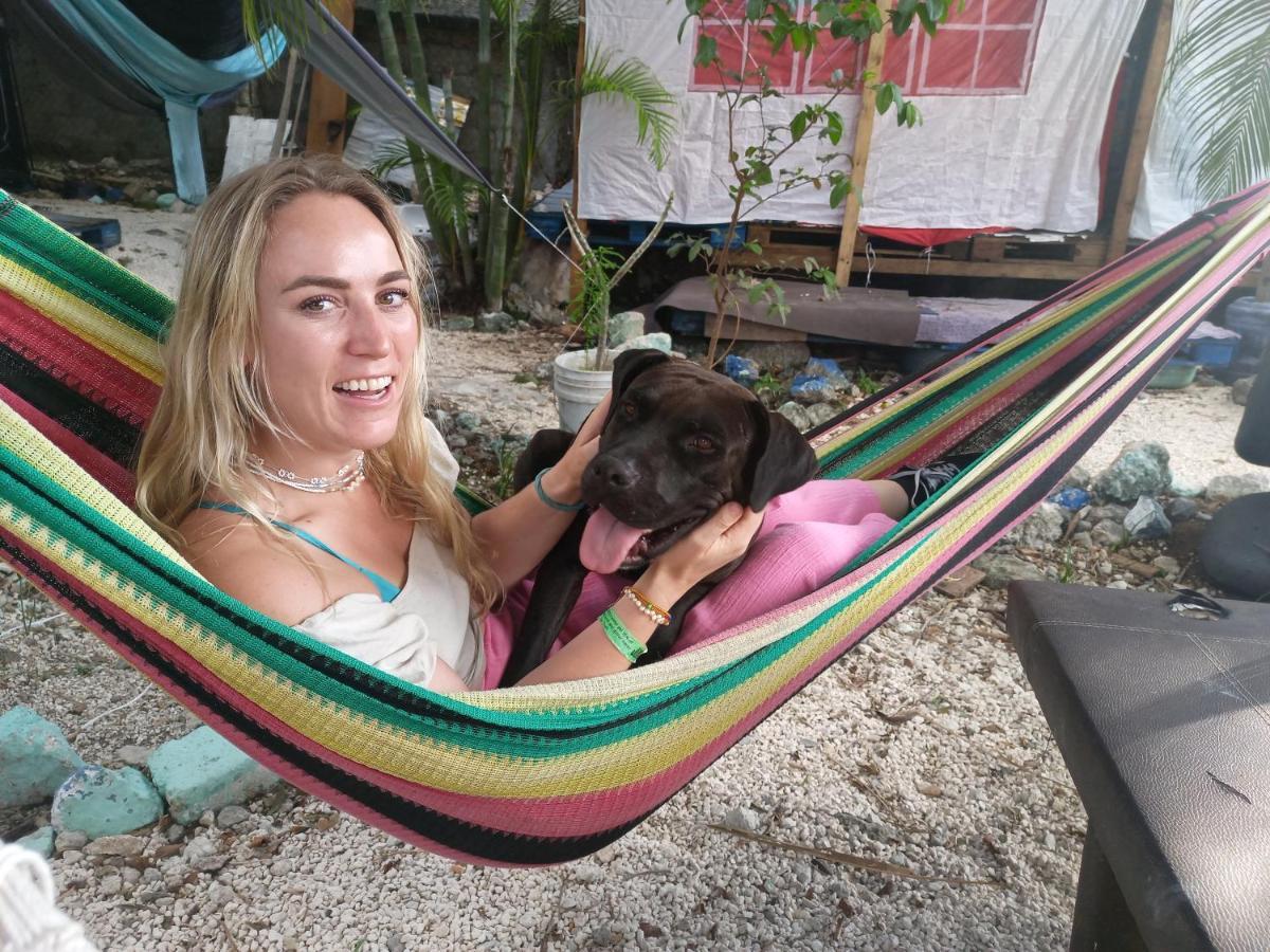 Sustainable Cabain Lägenhet Cozumel Exteriör bild