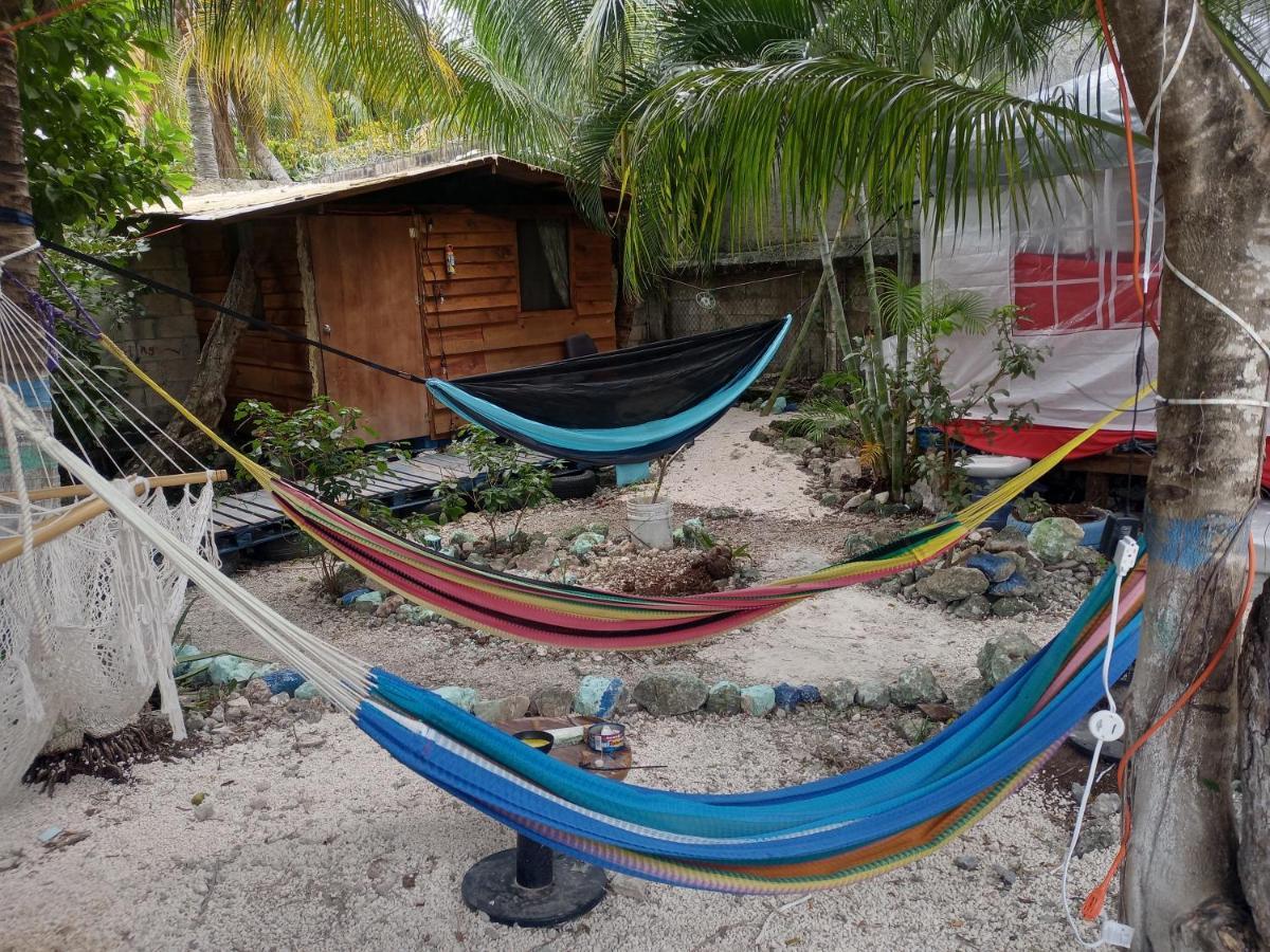 Sustainable Cabain Lägenhet Cozumel Exteriör bild